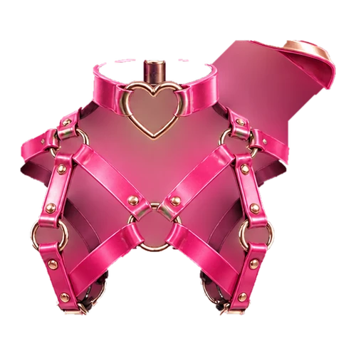 Harness